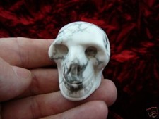 #HH-12-B HUMAN SKULL WHITE howlite Gem Stone skulls head medical