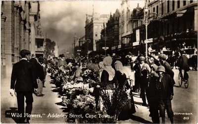 PC SOUTH AFRICA WILD FLOWERS, ADDERLEY STREET, CAPE TOWN REAL PHOTO (a83033)