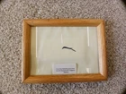 Civil War Battleflag piece from the 141st Pennsylvanian Infantry Regiment Framed