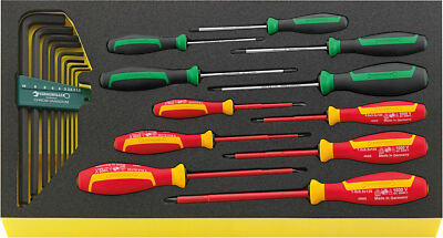 Stahlwille TOOL SET IN TOOL-CONTROL TRAY-SYSTEM 96830129 Set with  20 Psc. TCS W
