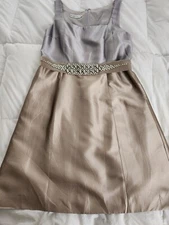 teri jon by rickie freeman dress Size 12 Silver/Champagne Color Jeweled