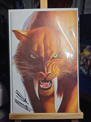 BLACK CAT 2 SIGNED & COVER ALEX ROSS COLLECTOR'S CLUB EXCLUSIVE COA 2025 .