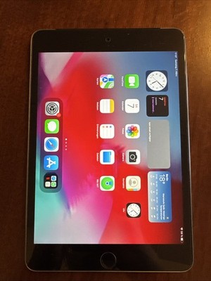 iPad Mini 4 32 GB Wi-Fi + Cellular Space Grau