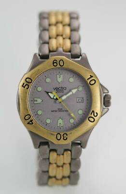 Vectra 2000 Silver Mens Stainless Steel Gold Gray Date 100m Battery Quartz Watch