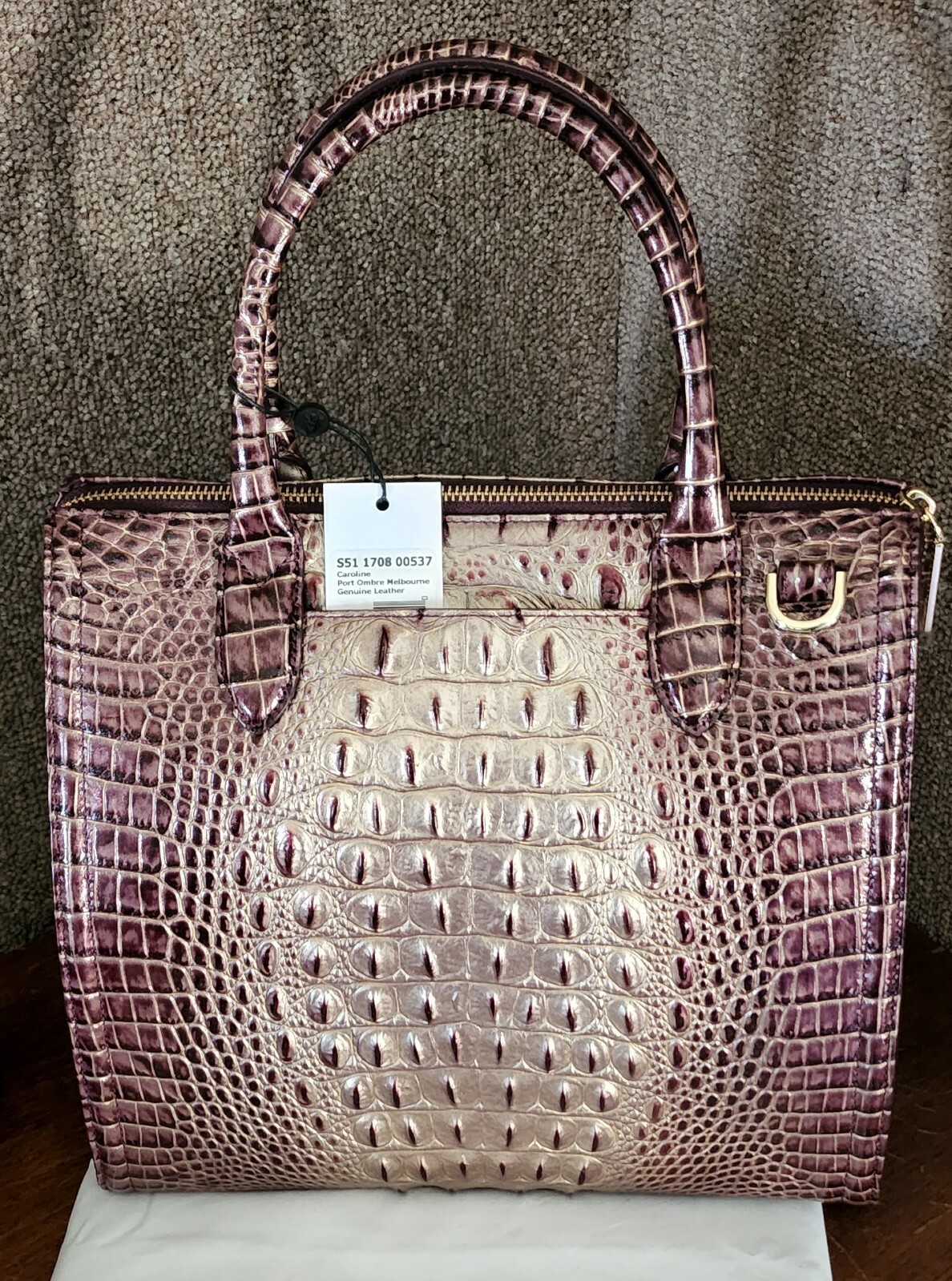 brahmin large caroline