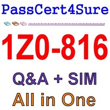 Best Exam Practice Material for 1Z0-816 Exam Q A SIM