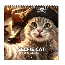 2027 Cat Calendar Playful Cat Patterns 12-Month Hangable Planner Display