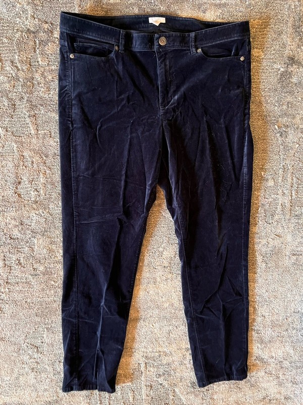 J.Jill Mid Rise Slim Velveteen Velvet Pants || Size 16T