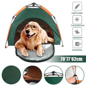 outdoor dog tent