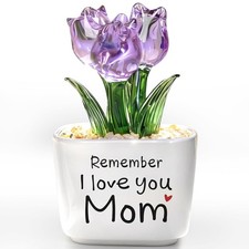 Birthday Gifts for Mom from Daughter Son, Mini Glass Tulip with Message  Remembe