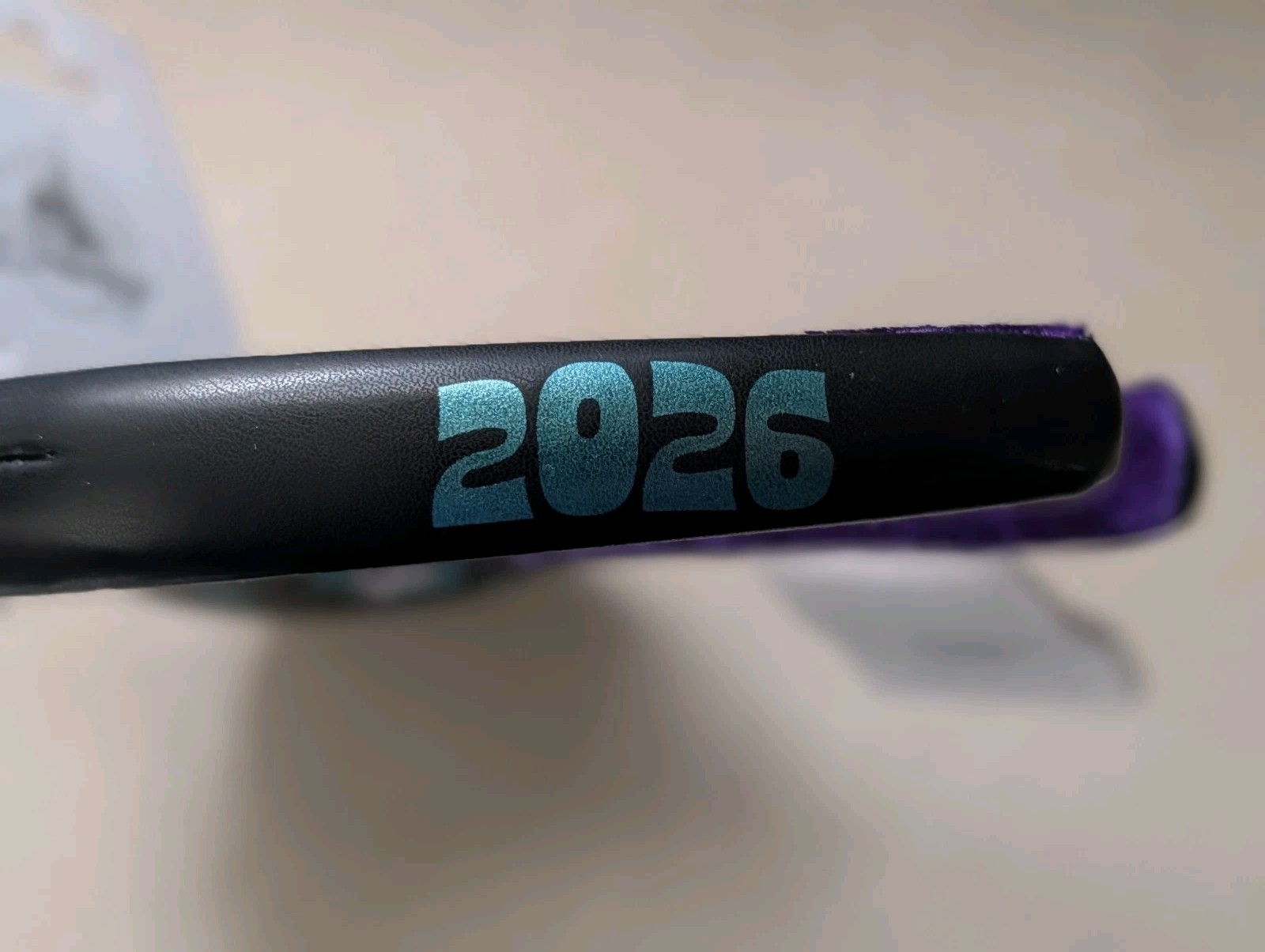 Disney World Mickey Minnie 2026 Sequin Bow Ears Headband New