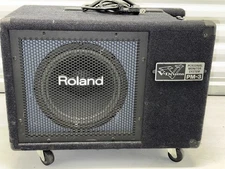 ROLAND PM-3 Electronic Drum & PIANO Amp Speaker Stage Monitor PA System 100Watt,