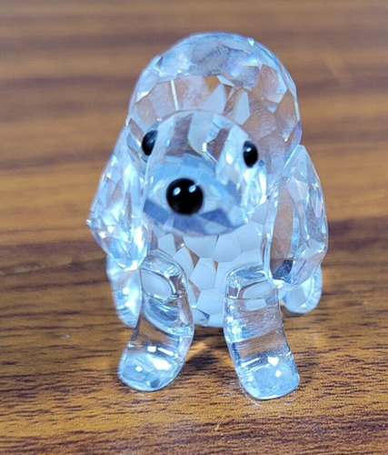 Swarovski Kristall Beagle Welpe sitzend 158418 verpackt