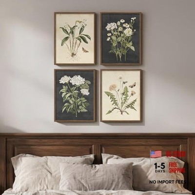 Framed Vintage Botanical Wall Art 11'' W x 14'' H x 4Pcs Vintage - Walnut Framed
