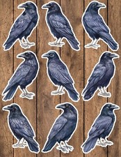 Raven Bird Die Cut Vinyl Stickers Set Scrapbooking Laptop Waterbottle