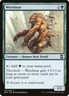Werebear Eternal Masters Light Play MTG Magic DNA GAMES