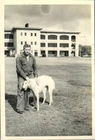 Vintage Gi-Irish Wolfhound Mascot (Irish Guard) Schofield Honolulu HI ww2 Photo