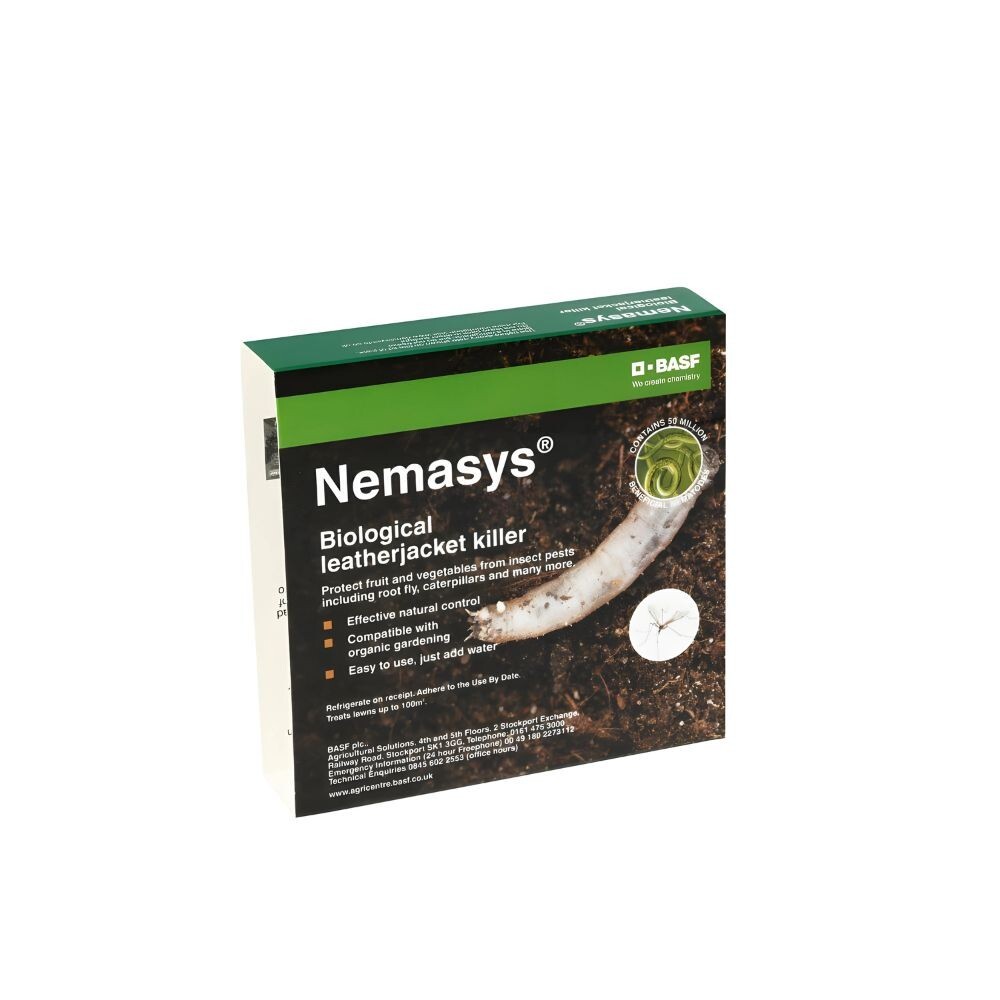 Pack of Leatherjacket Nematodes Natural Crane Fly Larvae