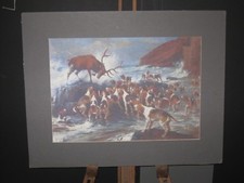 Staghounds,Hunting,Devon & Somerset Hunt,Coastal Hunting,