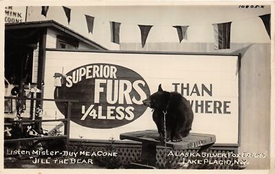 H17/ Lake Placid New York RPPC Postcard c30s Alaska Silver Fox Farm Black Bear