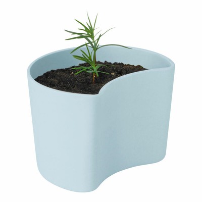 Rig-Tig YOUR TREE Blumentopf mit Samen Blue, Baum Aufzuchtset, abbaubar, 7 cm