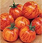 Red Zebra Tomato Seeds 25 Seed Packet More Heirloom Organic Non GMO Ve
