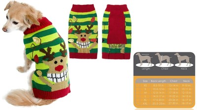 friends forever dog sweater