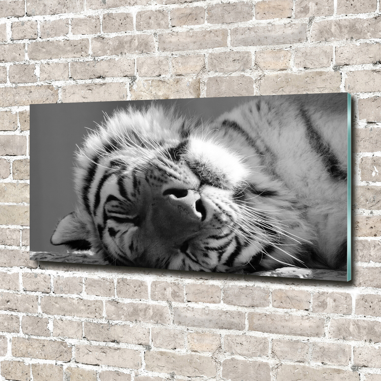 Glas-Bild Wandbilder Druck auf Glas 140x70 Deko Tiere Müder Tiger