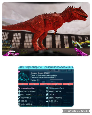 ark survival ascended pve ID132 LEVEL 1 FEMALE CARCHA CLONE