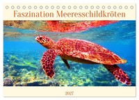 Faszination MeeresschildkröTen (Tischkalender 2027 DIN A5 Quer), Calvendo Monats