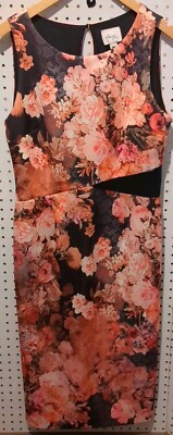 Beige By Eci Floral Dress Easter Sleeveless Size 10 Pink Black