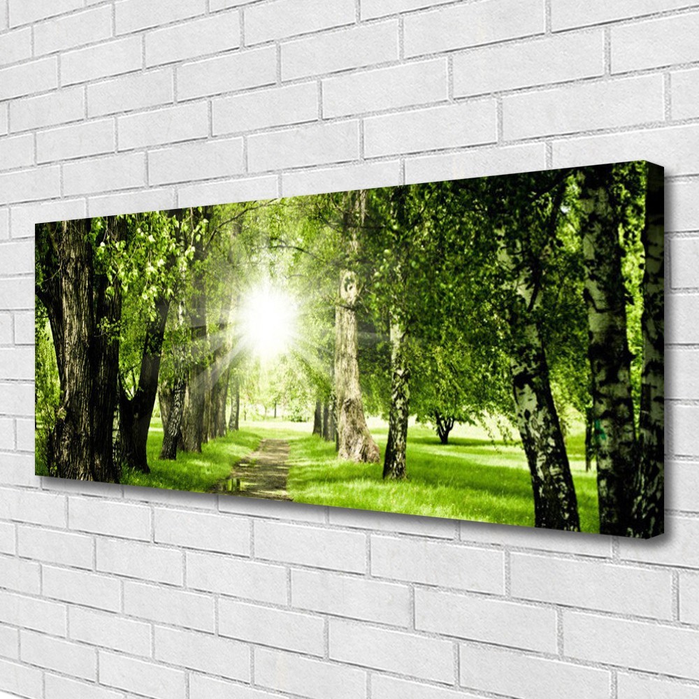 Tableau forêt soleil 125x50 : la solution pour illuminer une pièce sombre sans travaux
