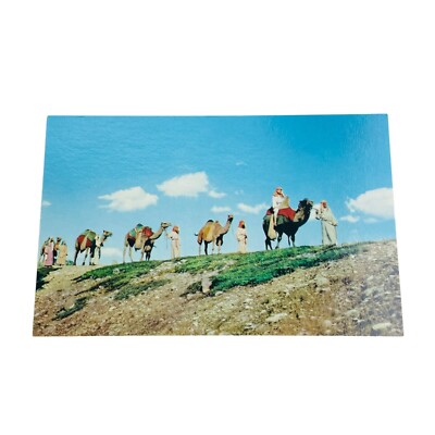 Camel Caravan Vintage Postcard BH-10 Black Hills Passion Play Unused