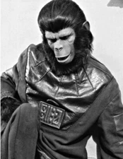 Cornelius from Escape from the Planet of the Apes Picture Photo Print 5"x7"  