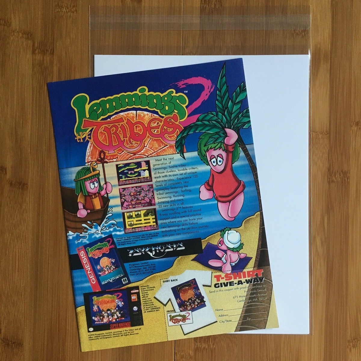 海鼠ページ $_57.JPG?set_id=8800005007