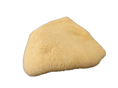 Orthodox Sponge Antimension Sponge Natural Greek Orthodox Chalice Prosphora Crumbs ...