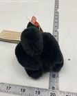 NWT GIANTmicrobes Toxic Mold Plush — photo 2