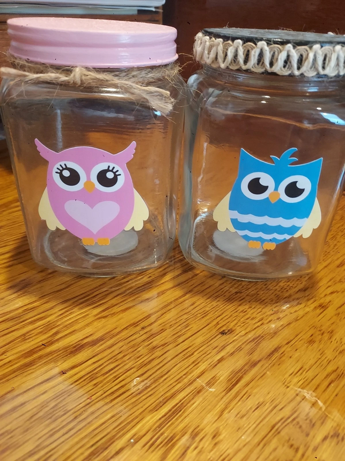 Storage Jars With Lids Decorated Handcrafted Pink And Blue Owls 2 Cup