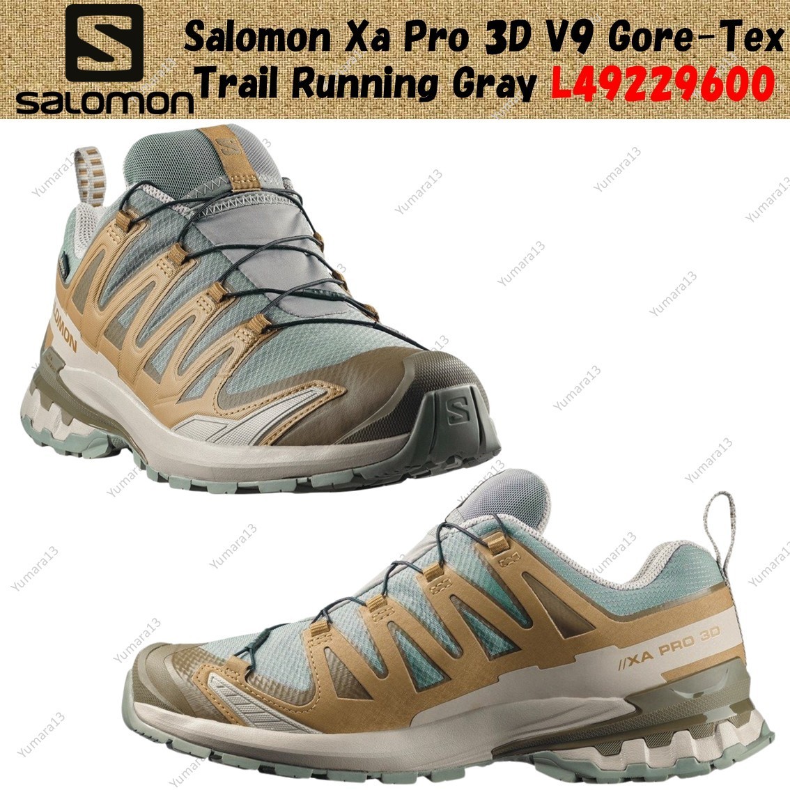 Salomon Xa Pro 3D V9 Gore-Tex Trail Running Gray L49229600 Men's