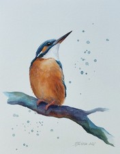 Kingfisher Original Watercolour Painting Signed Unframed British Birds Fine Art