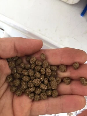 JEFFERY JOHN 4 LBS FLOATING KOI FISH FOOD - FAST FREE SHIPPING!!! MADE IN USA!! SUPER SALE!