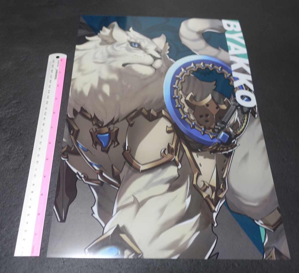 Nintendo Store Xenoblade2 A3 Size Plastic Clear Poster Xenoblade 2