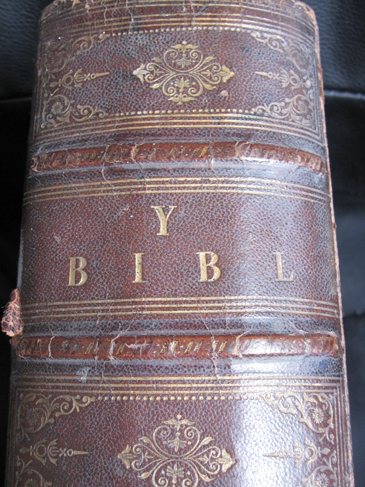 WELSH LANGUAGE FAMILY BIBLE - Rev. PETER WILLIAMS 1868 - GENEALOGY GOLDMINE!