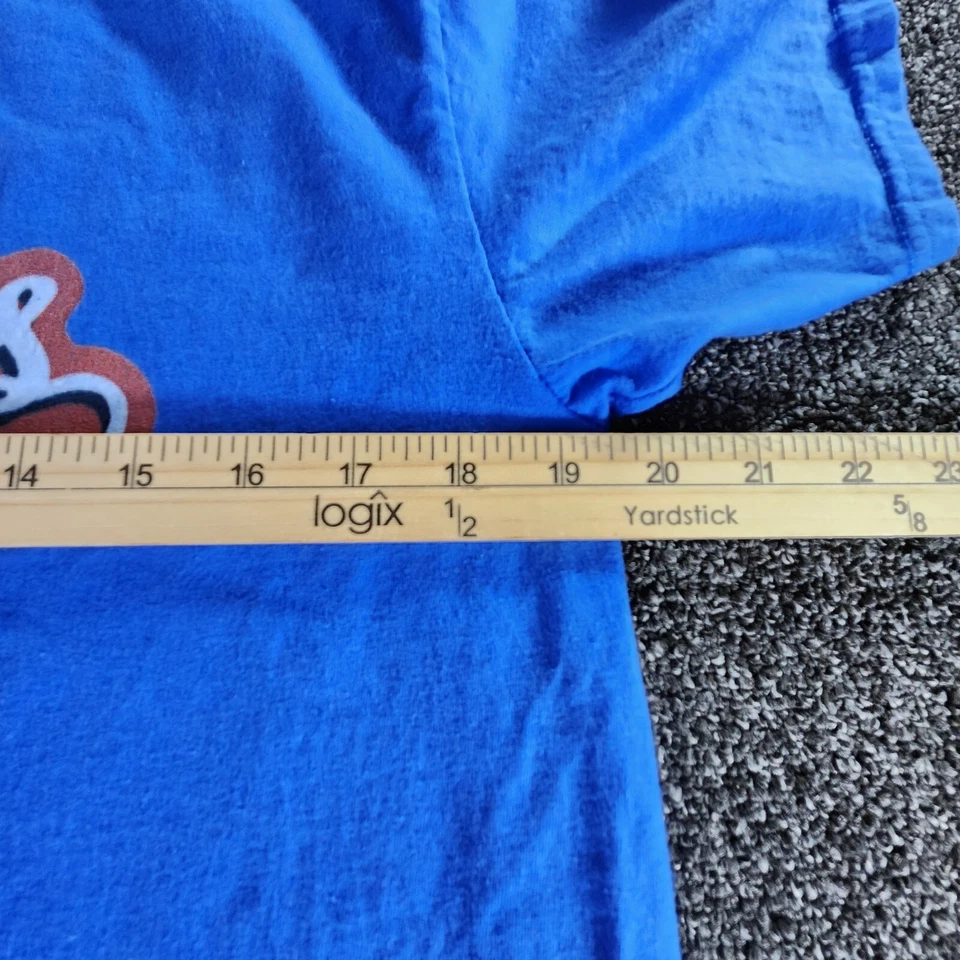 WWE Wrestling Diva T 恤 Nikki Bella 女式 XXL 蓝色标志 Fearless Nikki 上装 — 第 3/4 张图片