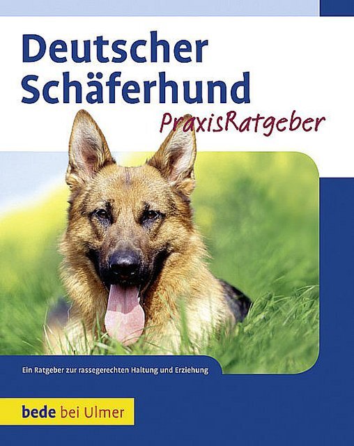 Thumbnail - Deutscher Schäferhund Susanne Samms