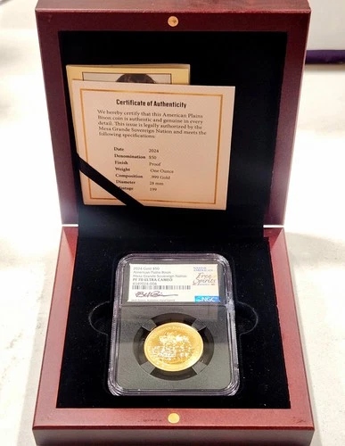 2024-P Native American Dollar — photo from the most recent tracked eBay sale