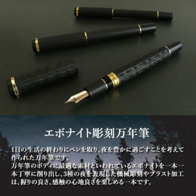 SAILOR Ebonite Sculpture Fountain Pen 3Designs Nib 21K Large F/M/B NEW