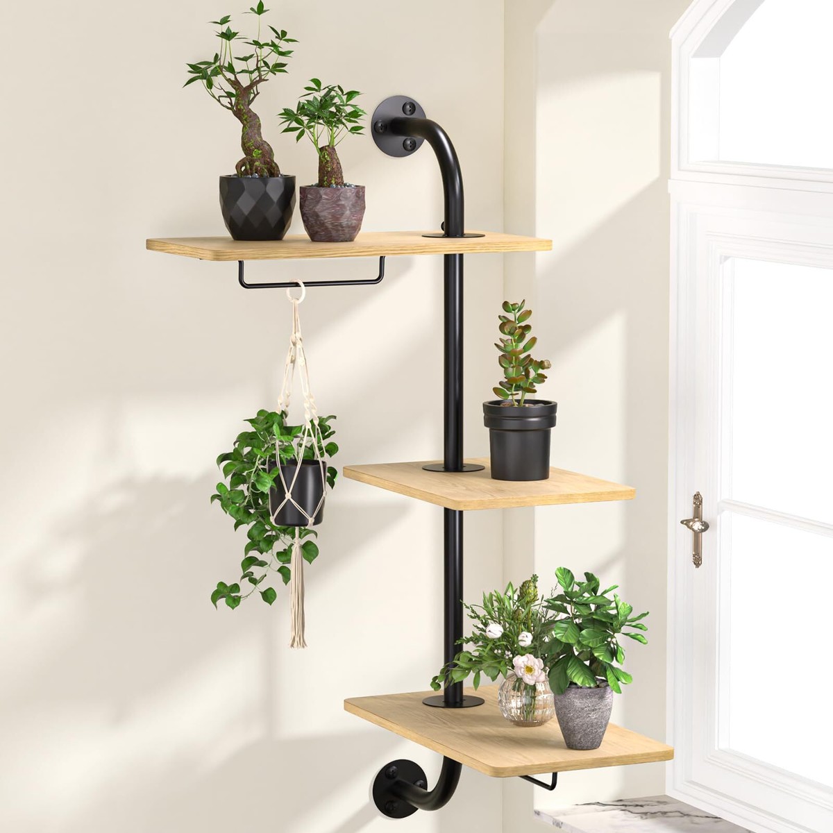 olivenbaum symbol bedeutung Olivenbaum Ø:22 H:100 cm - Pflanzen online kaufen main image 1