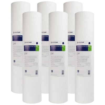 Pentek DGD-2501-20 1 Micron Whole House 20 Inch Sediment Water Filter 6 Pack