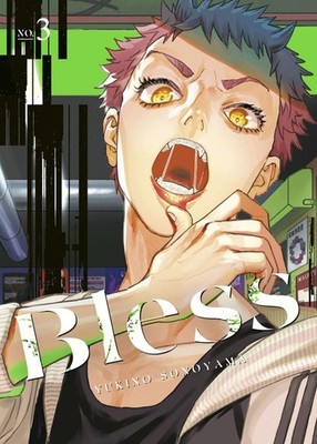 Bless 3 by Yukino Sonoyama Paperback Book